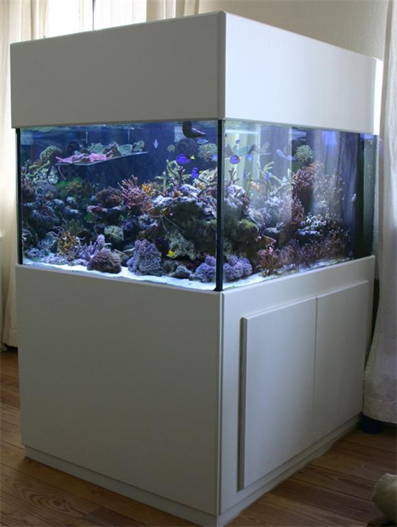 560L