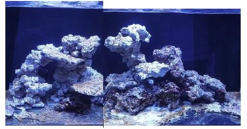 reefer setup.JPG