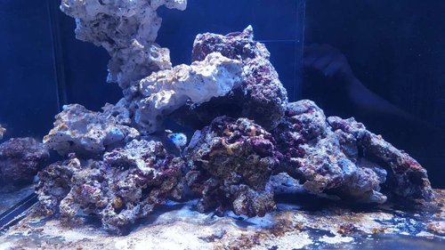 20180226_194630.jpg