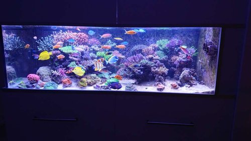 DSC_0186.JPG