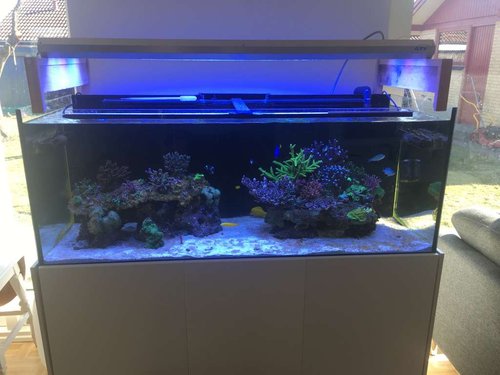 FTS