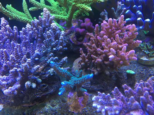 773EE6FA-B030-4000-98A5-F06955A8D06B.jpeg