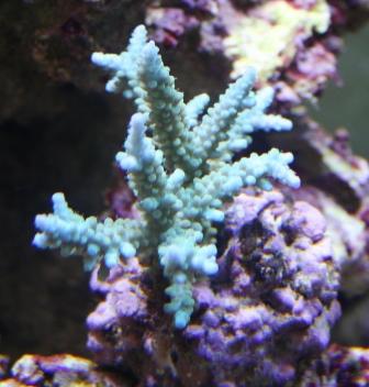 IMG_1216.jpg