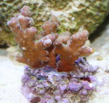 IMG_1206.jpg