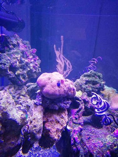 IMG_20180325_203611.jpg