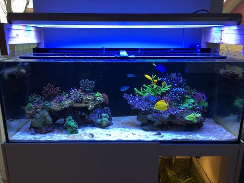 FTS