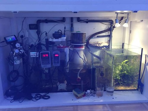 FTS af sumpen :-)