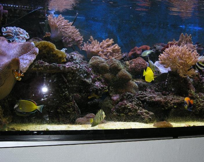foto-4.JPG