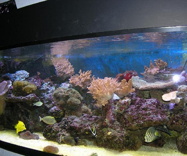 foto-2.JPG