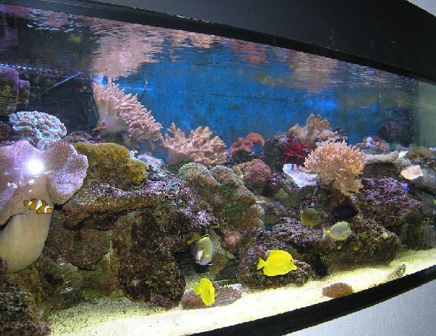 foto-1.JPG