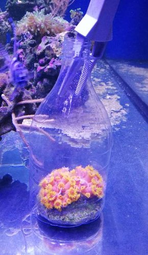 IMG_20180405_201446.jpg