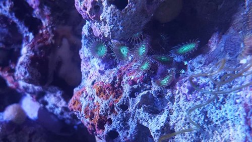 20180527_140950.jpg