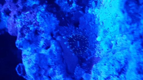 20180522_224145.jpg
