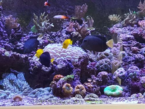 20180805_154208.jpg