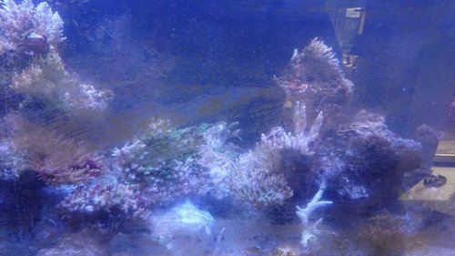 DSCPDC_0003_BURST20180824154051046_COVER.JPG