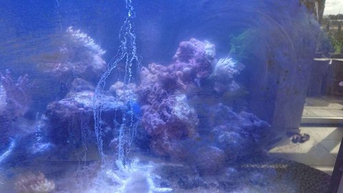 DSCPDC_0003_BURST20180824154054389_COVER.JPG