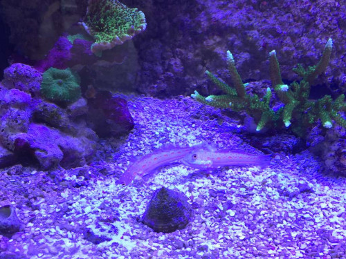 EBA29863-46B3-4AC8-B519-351B5F76AA6F.jpeg
