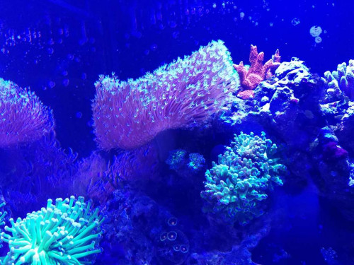 IMG_20181025_150912.jpg (103.29 KiB) Vist 1602 gange 1