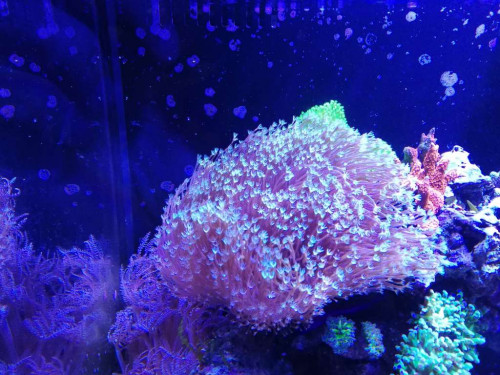 IMG_20181025_150919.jpg (107.01 KiB) Vist 1602 gange 2