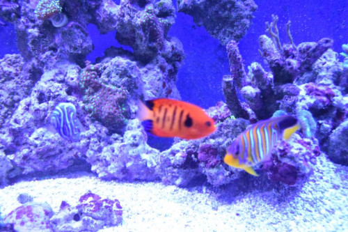 DSC_0908Trio.JPG