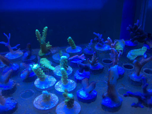 260B5E05-6E74-4566-ACB8-2D156455330E.jpeg