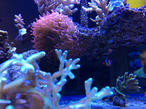 CCE0B42F-341E-481A-A7C1-C6F441449D52.jpeg