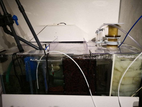 Sump1.jpg
