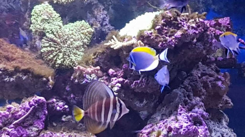 20181208_161723.jpg