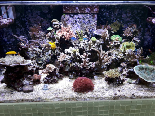 20181028_150756.jpg