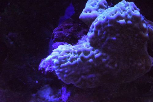 Test.2. 6.1.19.JPG