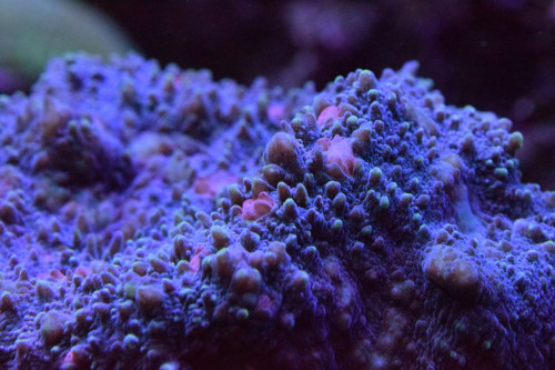 Test. 6.1.19.JPG