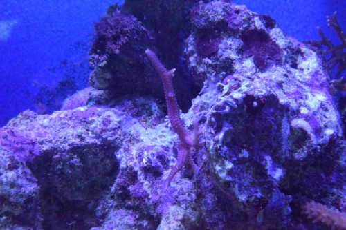 Test.6. 6.1.19.JPG