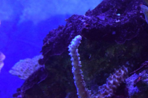 Test.5. 6.1.19.JPG