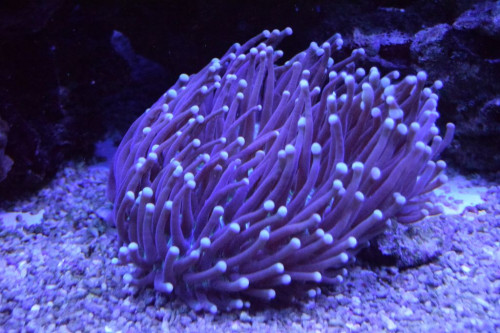 Test.7.6.1.19.JPG