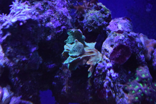 Test.3. 6.1.19.JPG