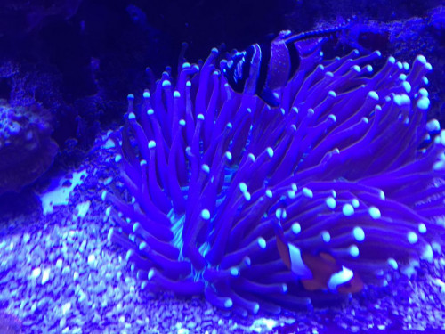 226BB8AA-BE56-402F-96EA-B39C31152EB2.jpeg