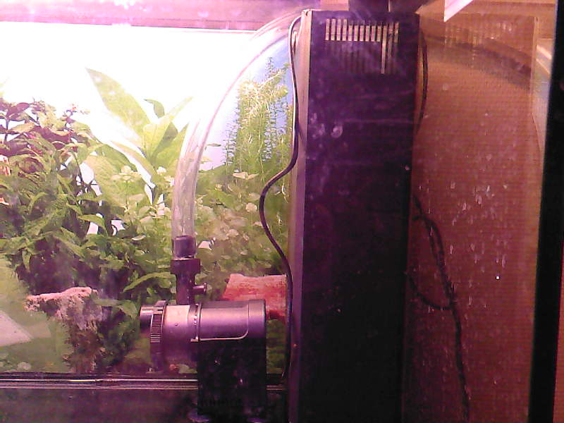 Fotografier-0048.jpg