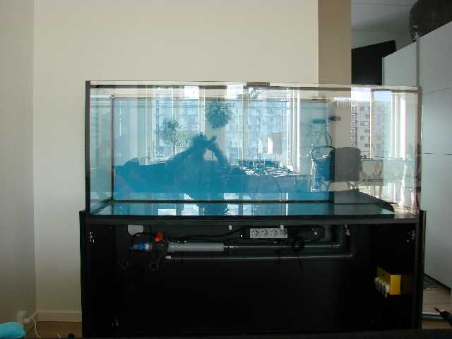 akvarie 1 004.jpg