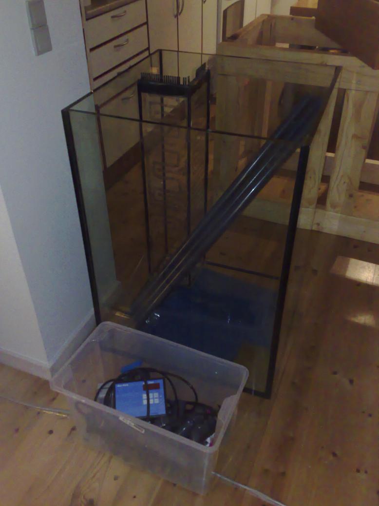 08032008045.jpg