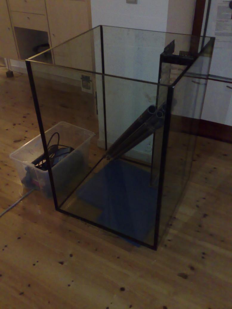 08032008044.jpg