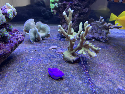 E43372AD-AE7B-4FD1-B4D5-CFA7E41976EF.jpeg