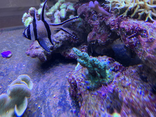 052807F9-F05F-4A54-8E0B-77B3628723F6.jpeg