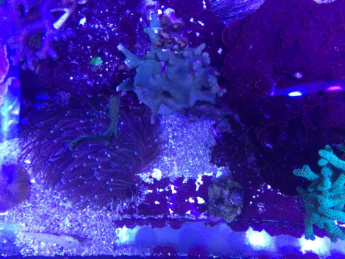 6B35059B-B2D0-428D-BC8B-831CF88F87D4.jpeg