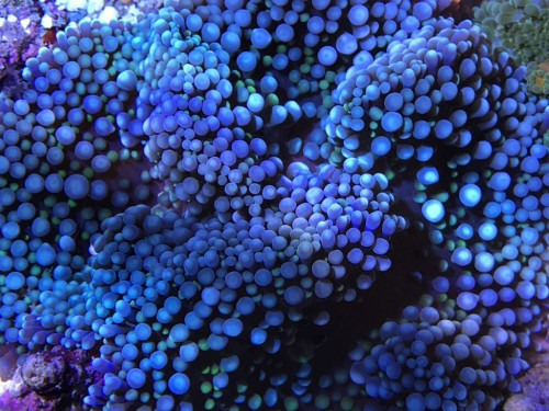 E98357B0-F9EF-4396-983D-D54D846556F3.jpeg