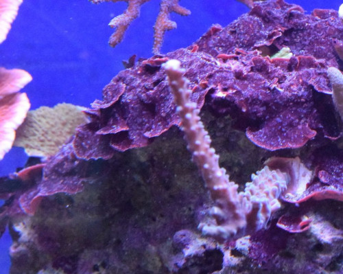 DSC_016524.2.19..JPG