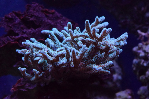 DSC_016724.2.19..JPG