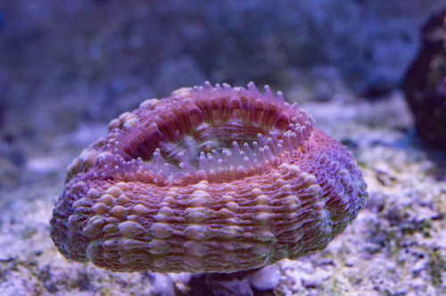 DSC_0013a.JPG