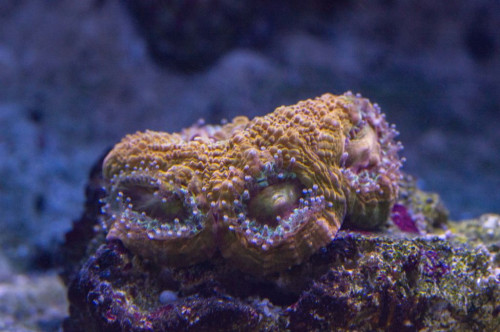 DSC_0014a.JPG