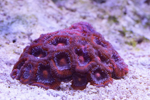 DSC_0015a.JPG