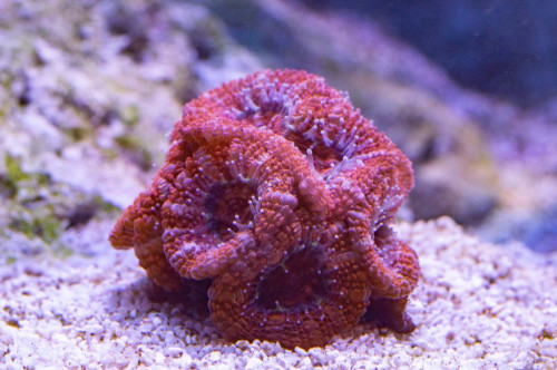 DSC_0016a.JPG